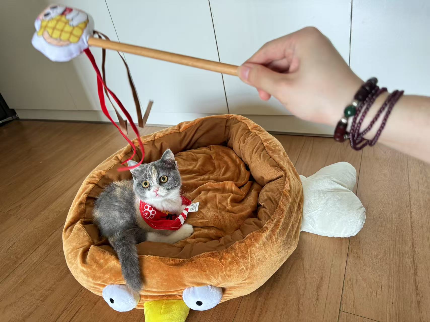 图片关键词