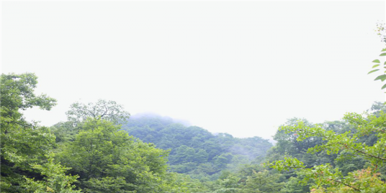 积盛电子团建之问道青城山