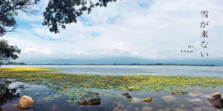 “春城”里的不老运维团