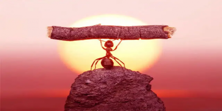 纪实丨面对疫情和地震，越是困难越需要担当