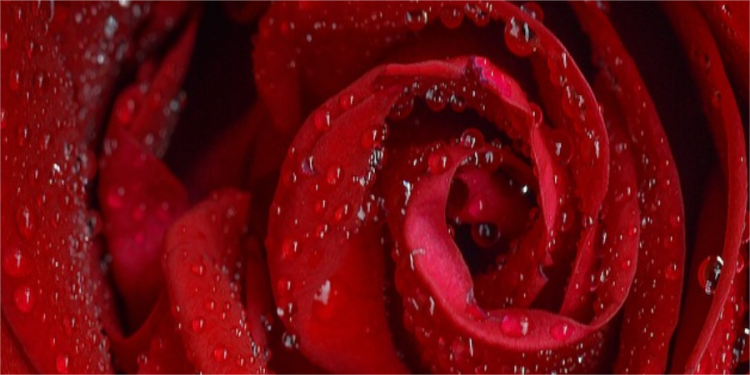 勇敢做自己，谁都可以热辣滚烫！