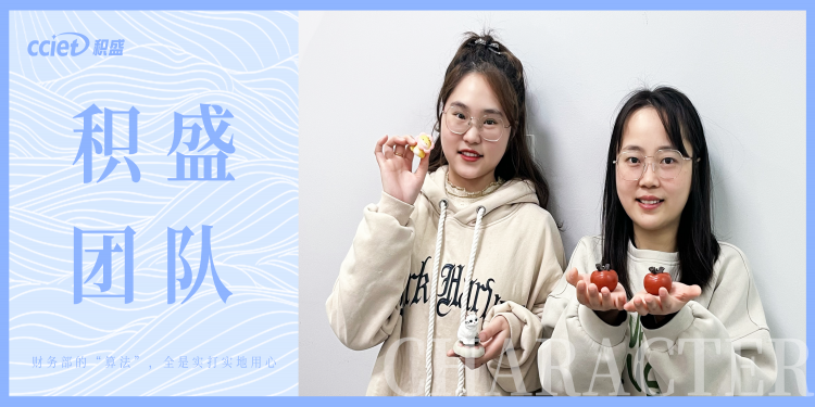 团队丨揭秘公司“钱袋子管家”的日常